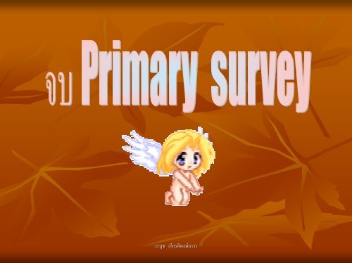 Primary survey