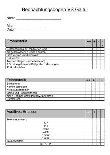 Beobachtungsbogen VS Galtür - SPZ-Zams