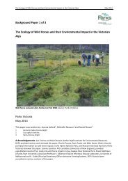 The Ecology of Wild Horses and their Environmental ... - Parks Victoria