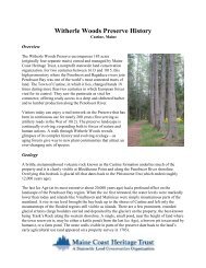 Witherle Woods: - Maine Coast Heritage Trust