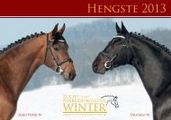 Download Hengstkatalog 2013 - Zucht- und Ausbildungsstall Winter