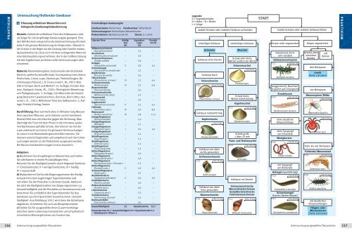 Untersuchung fließender Gewässer PRAKTIKUM PRAKTIKUM