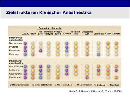 „Physiologie von Bewusstsein und Akutschmerz“