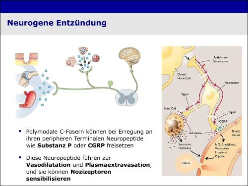 „Physiologie von Bewusstsein und Akutschmerz“