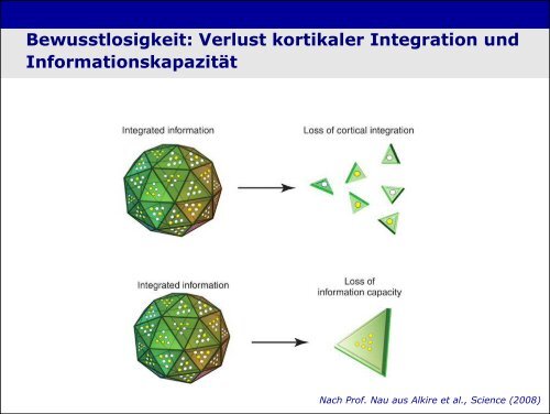 „Physiologie von Bewusstsein und Akutschmerz“