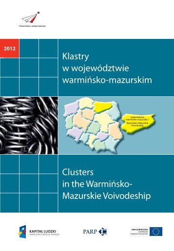 Klastry w województwie warmińsko-mazurskim ... - Portal Innowacji