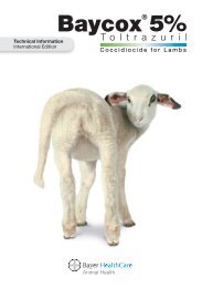 Coccidiocide for Lambs - Bayer Animal Health