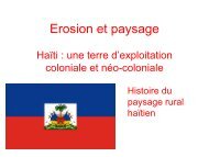 Paysage Haiti