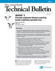 INFORCE™ 3: Prevents respiratory disease caused by ... - Zoetis