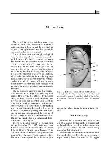 Skin and ear - Dermatologia pediatrica