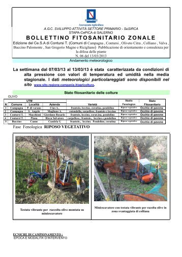 Contursi (SA) - Regione Campania
