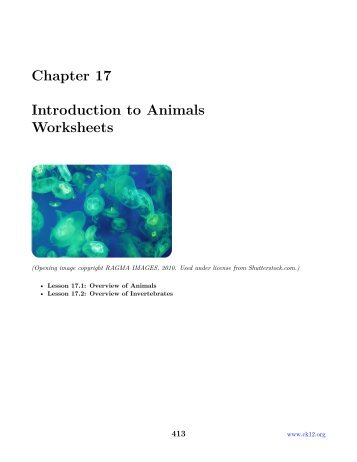 CK-12 Biology Chapter 17 Worksheets.pdf