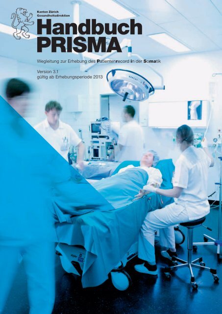 Handbuch PRISMA - Gesundheitsdirektion - Kanton Zürich