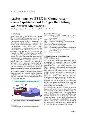 Ausbreitung von BTEX im Grundwasser - Dr. Stupp Consulting