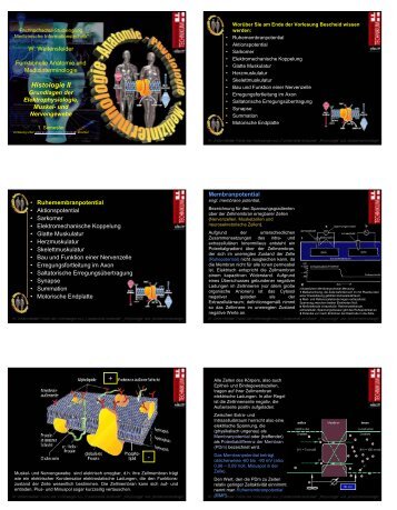 Handout in Farbe