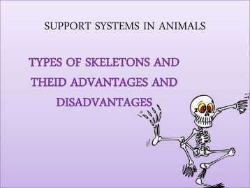 Lesson 1 - SUPPORT SYSTEMS IN ANIMALS - Brebner High School