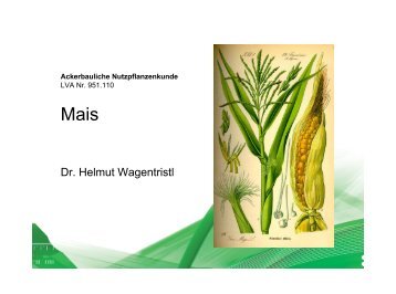Dr. Helmut Wagentristl - Plant Breeding Division