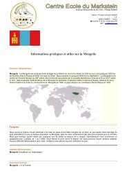 Informations pratiques et utiles sur la Mongolie