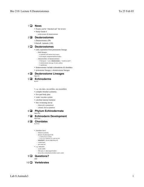 Bio 210: Lecture 8.Deuterostomes Tu 25 Feb 03 Lab 8.Animals3 1