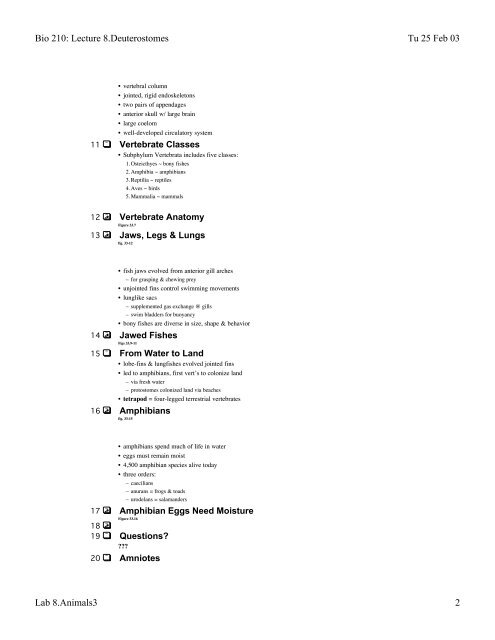 Bio 210: Lecture 8.Deuterostomes Tu 25 Feb 03 Lab 8.Animals3 1