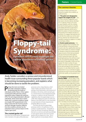 Floppy-tail Syndrome: