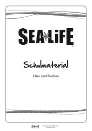 Schulmaterial Haie-Rochen - SEA LIFE Oberhausen