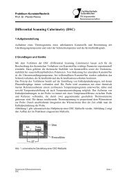 Differential Scanning Calorimetry (DSC)