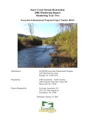 Snow Creek Stream Restoration 2006 Monitoring Report Monitoring ...