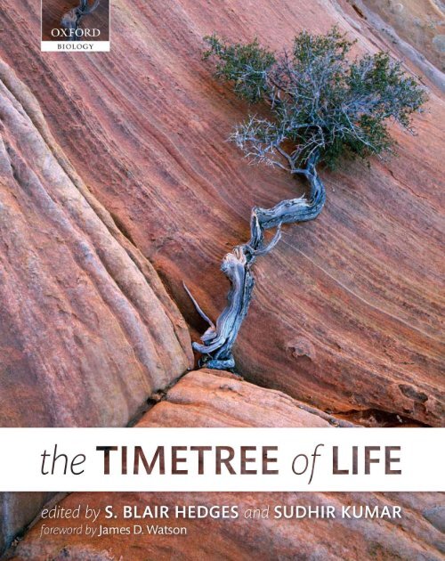 2. Amniote Tree of Life - Todd Jackman at Villanova