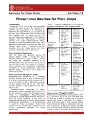 Phosphorus Sources for Field Crops - Cornell University Nutrient ...