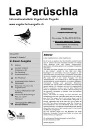 Parüschla 1 - Vogelschutz Engadin