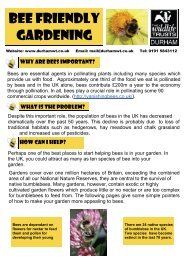 Bee Friendly Gardening Fact Sheets - Durham Wildlife Trust