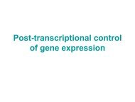 Post-transcriptional control of gene expression