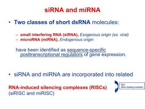 Post-transcriptional control of gene expression