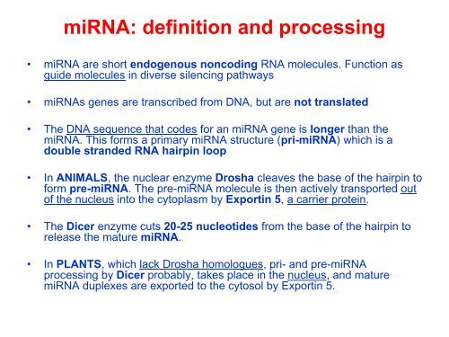 Post-transcriptional control of gene expression