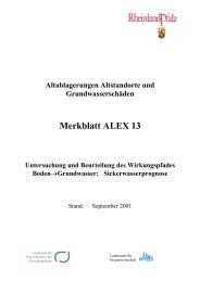Merkblatt ALEX 13 - Landesamt für Geologie und Bergbau