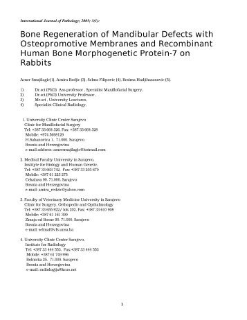 Bone Regeneration of Mandibular Defects with Osteopromotive ...