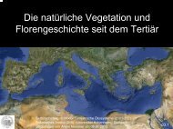 03_Die natürliche Vegetation und Florengeschichte seit dem ...