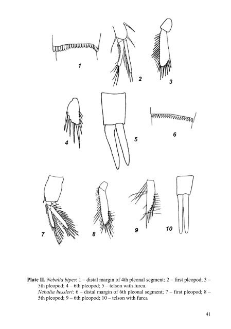 биота российских вод японского моря - Materials of Alexey Shipunov