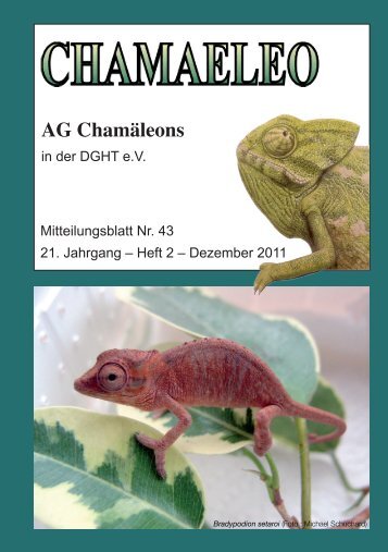 CHAMAELEO Ausgabe Nr 43 - Website der AG Chamäleons