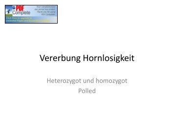 Vererbung Hornlosigkeit