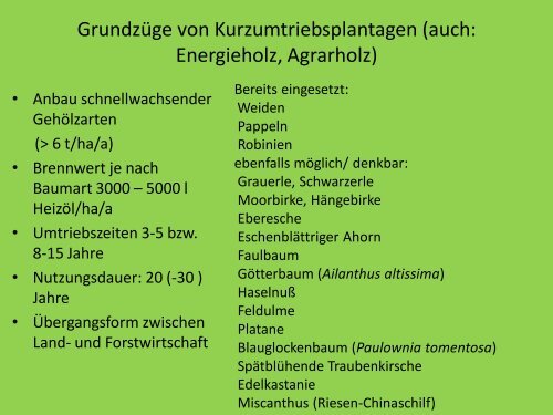 Vortrag von Dieter Kurzmeier zu "Kurzumtriebsplantagen"