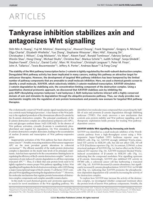 Tankyrase inhibition stabilizes axin and antagonizes Wnt signalling