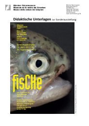 FisCHe - Bündner Naturmuseum - Kanton Graubünden