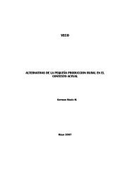 Documento Alternativas - Territorios Centroamericanos