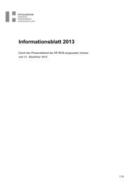 Mein Arbeitsverhätnis SRRWS 2013 .pdf