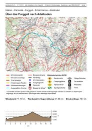 Über das Furggeli nach Adelboden - barbarascherler.ch