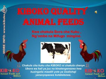 kiboko quality animal feeds - KIBOKO Animal Feeds and Millers