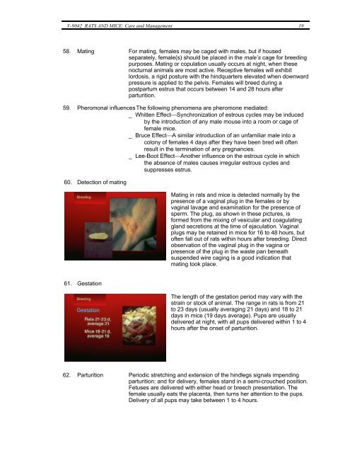 LABORATORY ANIMAL MEDICINE AND SCIENCE - SERIES II ...