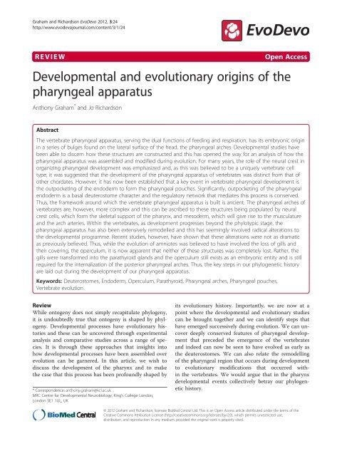 Developmental and evolutionary origins of the ... - EvoDevo
